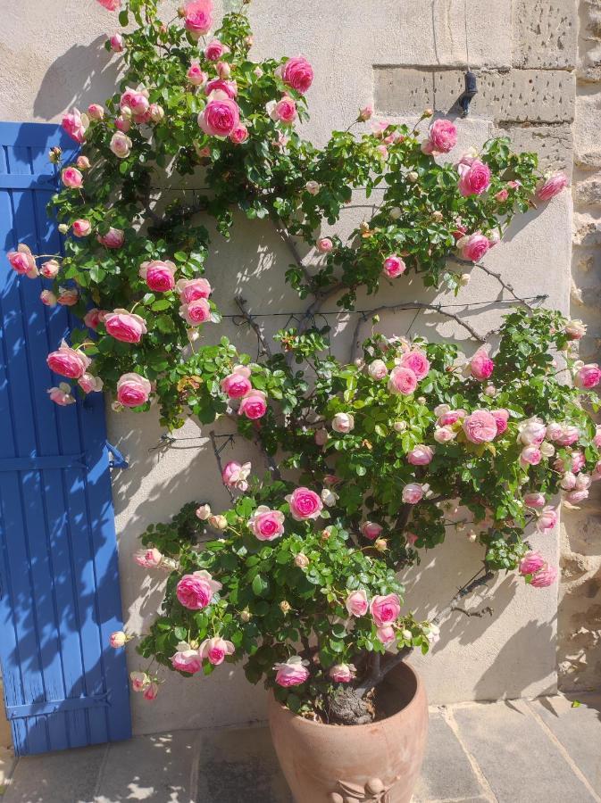 Mas De Manon Bed & Breakfast วัลเรอัส ภายนอก รูปภาพ
